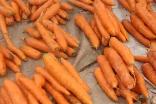 Freshly harvested orange carrots laid out at a market