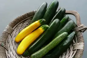 Basket of yellow squash and green zucchini