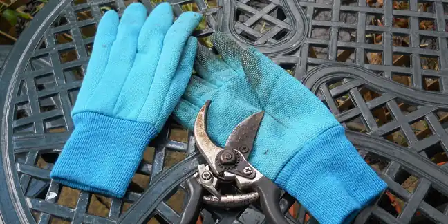 Bypass pruning shears and blue gardening gloves on a garden table