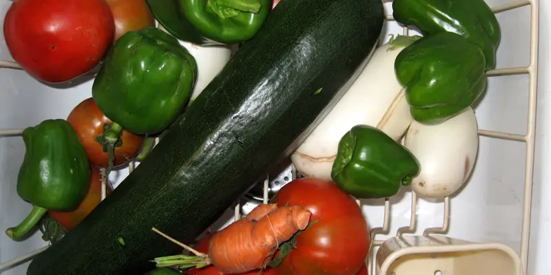 Basket of freshly picked garden vegetables: tomatoes, green peppers, a zucchini and a carrot