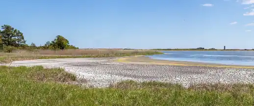 Salt marsh grasses and tidal flats at Cape Henlopen, Delaware