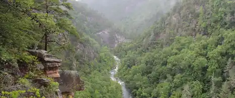 Forested walls of Tallulah Gorge with the river far below, Georgia