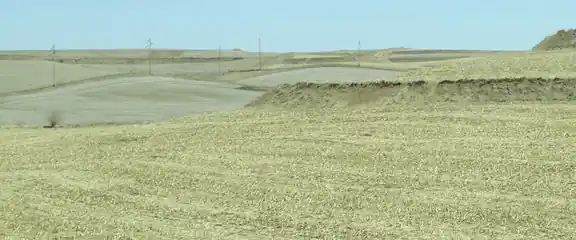 Rolling grassy ridges of the Loess Hills, Iowa