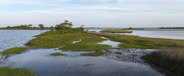 Marsh islands in Sinepuxent Bay near Assateague Island, Maryland
