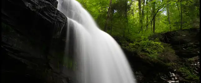 Waterfall plunging over a rock ledge in the forest at Ricketts Glen State Park, Pennsylvania