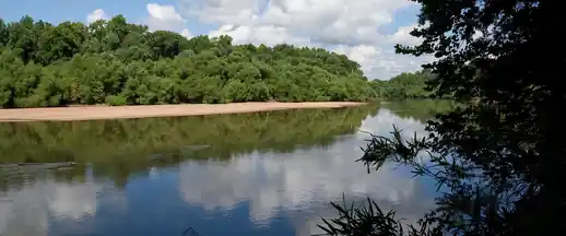 Congaree River with a sandbar and lush bottomland forest, South Carolina